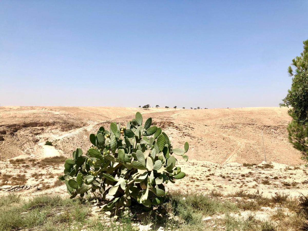 רגע של חסד Lägenhet Arad Exteriör bild